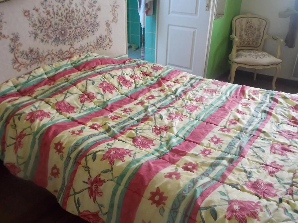 Le palmier Landunvez