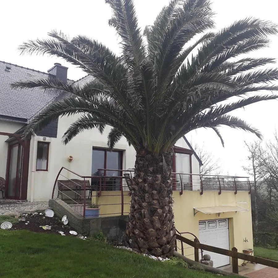 Le palmier